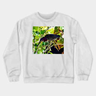 Green Heron Bird Crewneck Sweatshirt
